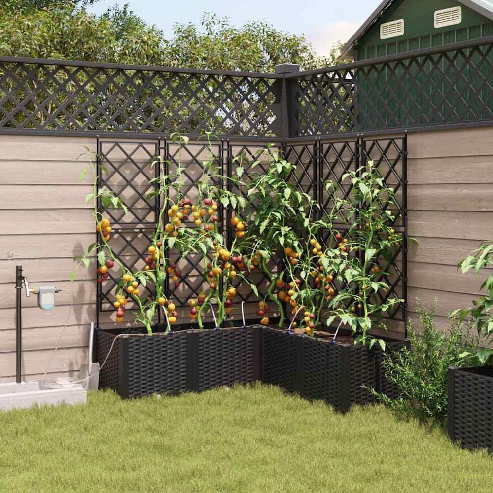 Garden Planter 5 pcs PP without Wheel Depth 120 cm Black 142 cm