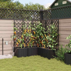 Garden Planter 5 pcs PP without Wheel Depth 120 cm Black 142 cm