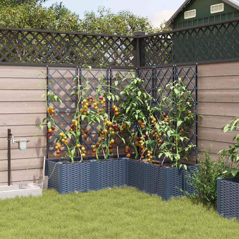 Garden Planter 5 pcs PP without Wheel Depth 120 cm Grey 142 cm