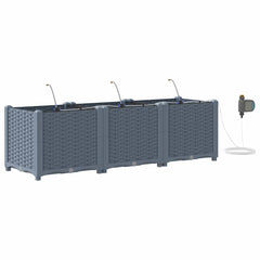 vidaXL Garden Planter 3 pcs LiGht Grey 120 x 40 x 37.5 cm PP 2