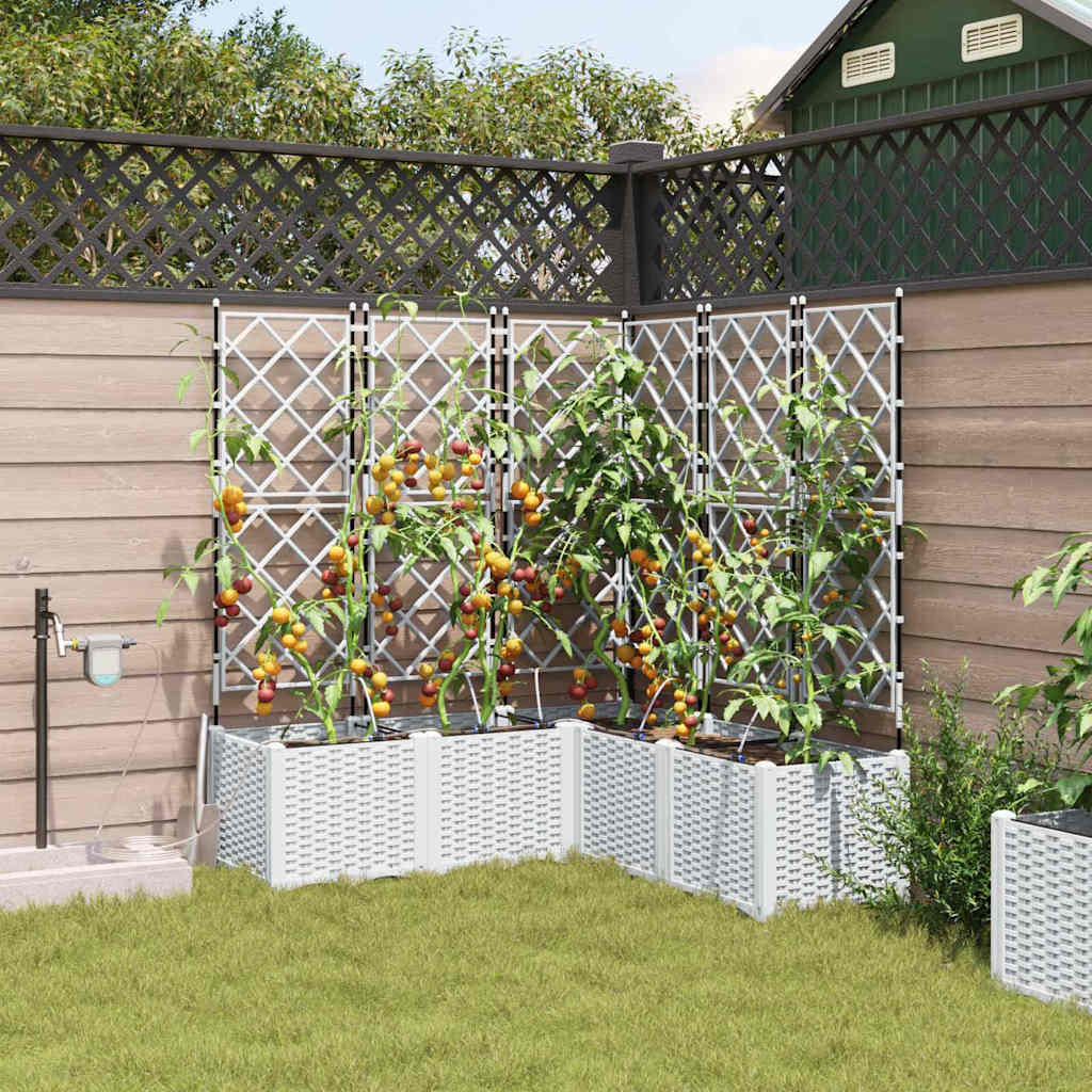 Garden Planter 5 pcs PP without Wheel Depth 120 cm White 142 cm