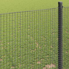 vidaXL Welded Wire Fence 10000 x 60 cm Grey 4