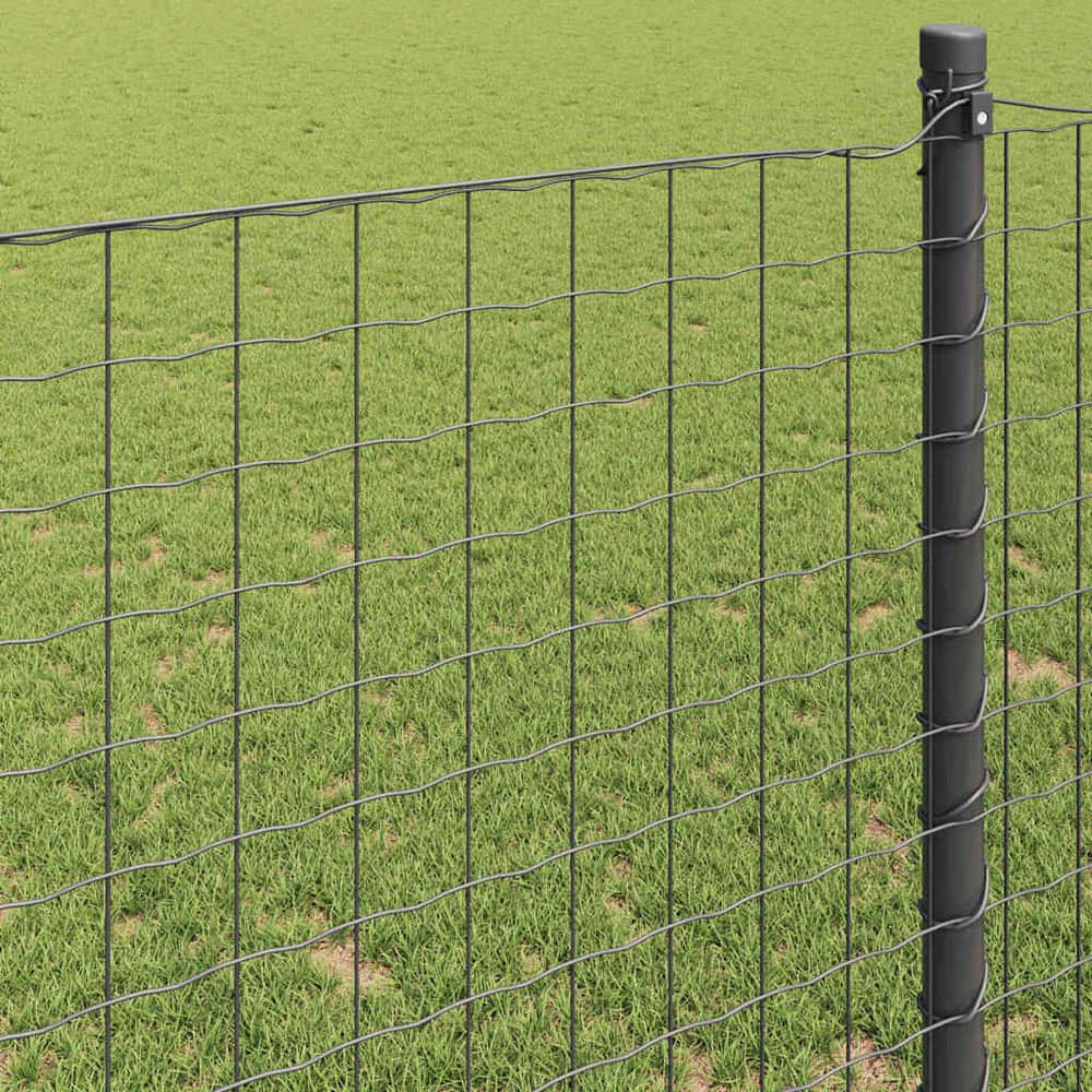Euro Fence 1 x 10 m PVC-coated iron Grey mesh Size 50 x 50 mm 1 m