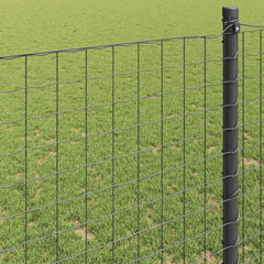 Euro Fence 1 x 10 m PVC-coated iron Grey mesh Size 50 x 50 mm 1 m