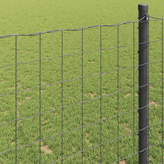 vidaXL Euro Fence 0.6 x 25 m PVC-coated iron Grey 4