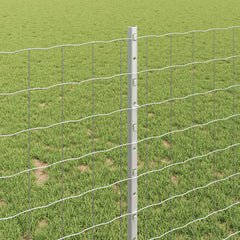 vidaXL Euro Fence with Post 10 x 1 m Galvanised Steel Silver Mesh 4