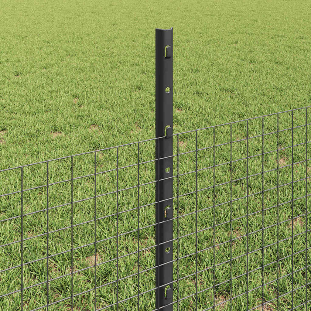 Welded Wire Fence with Posts 100 x 0.5 m PVC-Coated Steel Grey 50 x 0.8 m – 100 x 0.8 m 100 x 0.5 m fence (2.5 x 2.5 cm mesh)