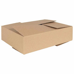 vidaXL Folding Box 50 pcs Natural Cardboard