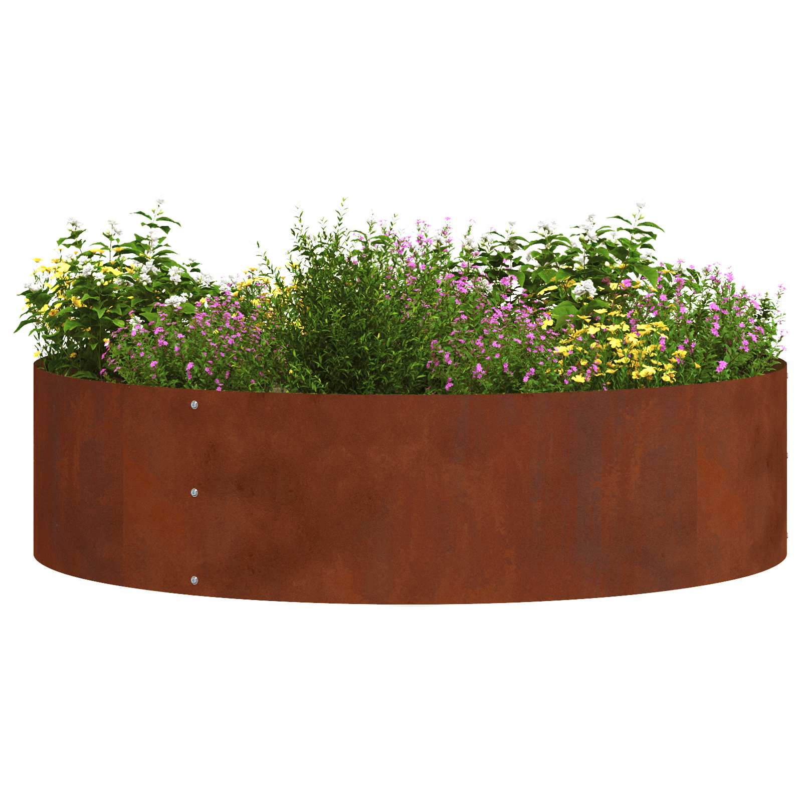 vidaXL Planter Ring Rusty 80 x 80 x 20 cm Weathering Steel 3