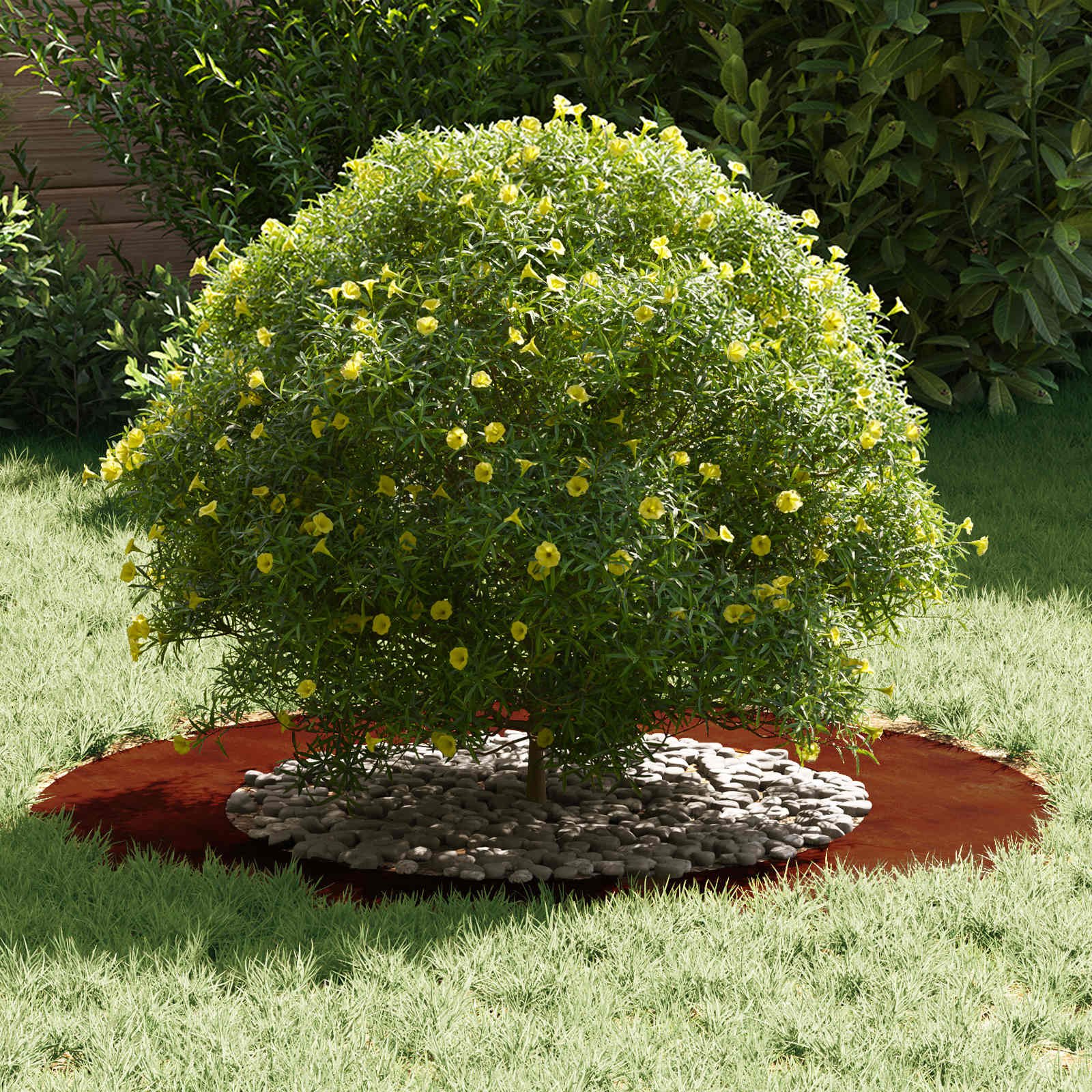 vidaXL suitable for Flat Tree Ring Rusty Ø50/80 cm 3