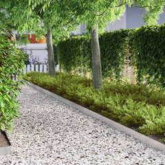 vidaXL Lawn Edging 450 x 10 cm Stainless Steel Silver 4