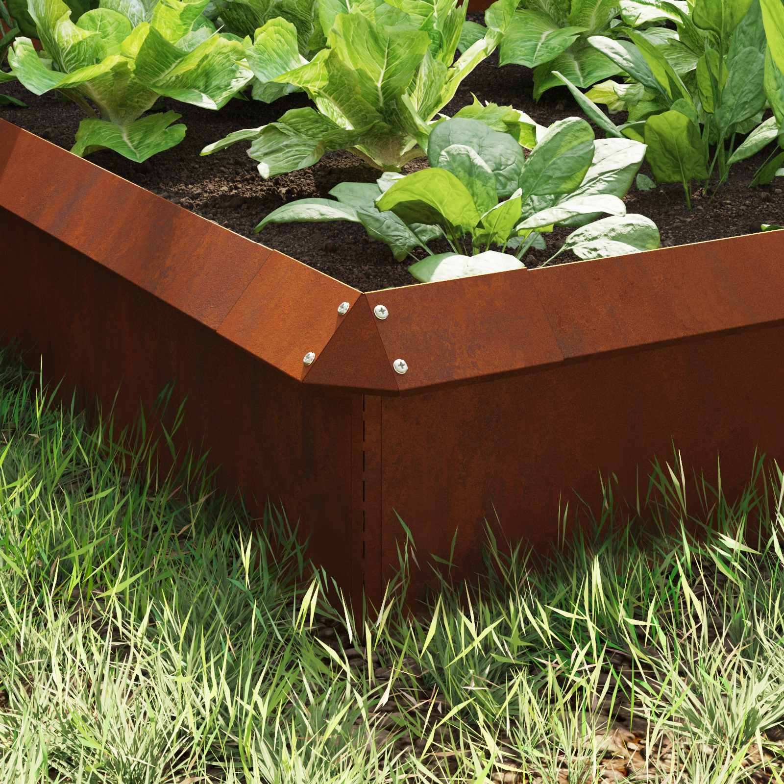 vidaXL Snail Fences 8 pcs 100 x 3.5 x 25 cm Weathering Steel Rusty 3
