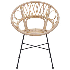 vidaXL Dining Chair 2 pcs Rattan and Iron Natural 54 x 65 x 82 cm 5
