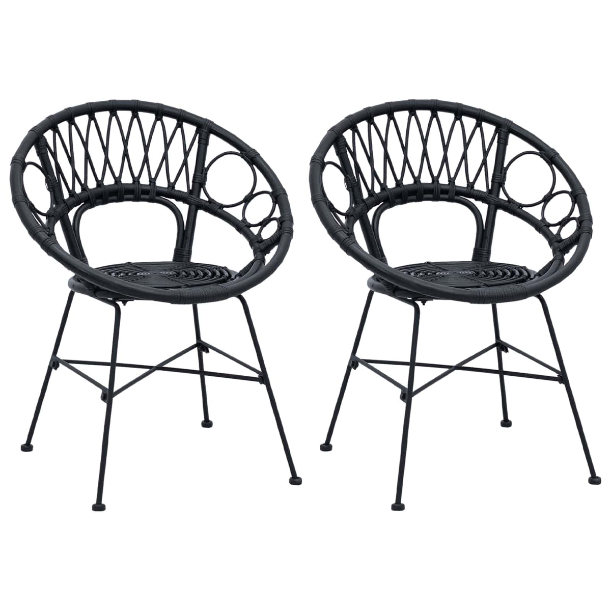 Dining Chair 2 pcs Rattan and Iron