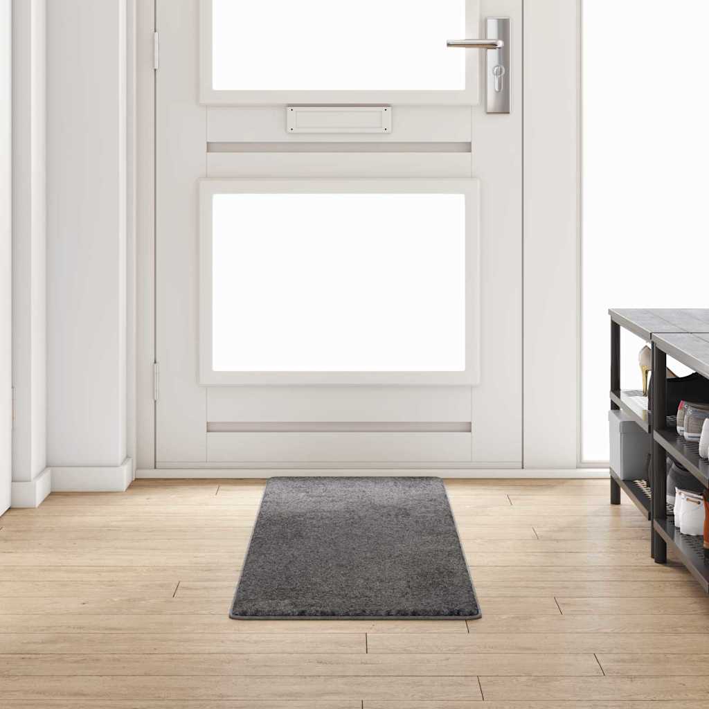 vidaXL Carpet Runner Grey 50 x 200 cm 100% Polypropylene Tuft 1