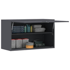 vidaXL Wall Cabinet for Garage with Gas-lift Door Anthracite 3