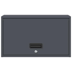 vidaXL Wall Cabinet for Garage with Gas-lift Door Anthracite 6