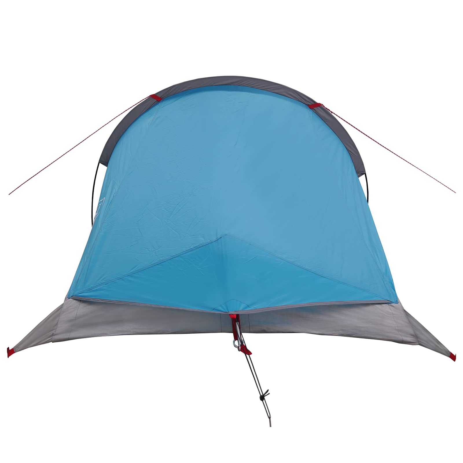 vidaXL Backpacking Tent 2-Person Blue 185T Polyester with PU Coating 6