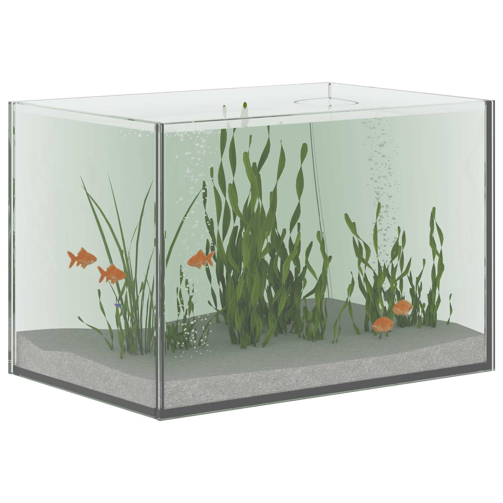 vidaXL Aquarium with Storage Transparent 30 x 20 x 20 cm Glass 3