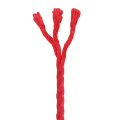 vidaXL Cotton Twine 10 pcs 2 mm 100 m Red 100% Cotton 6