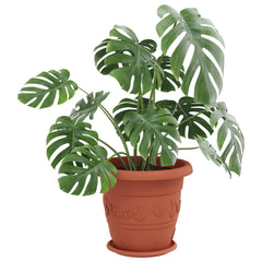vidaXL Plant Pots 6 pcs Brick Red Ø 39 x 32 cm Plastic 3
