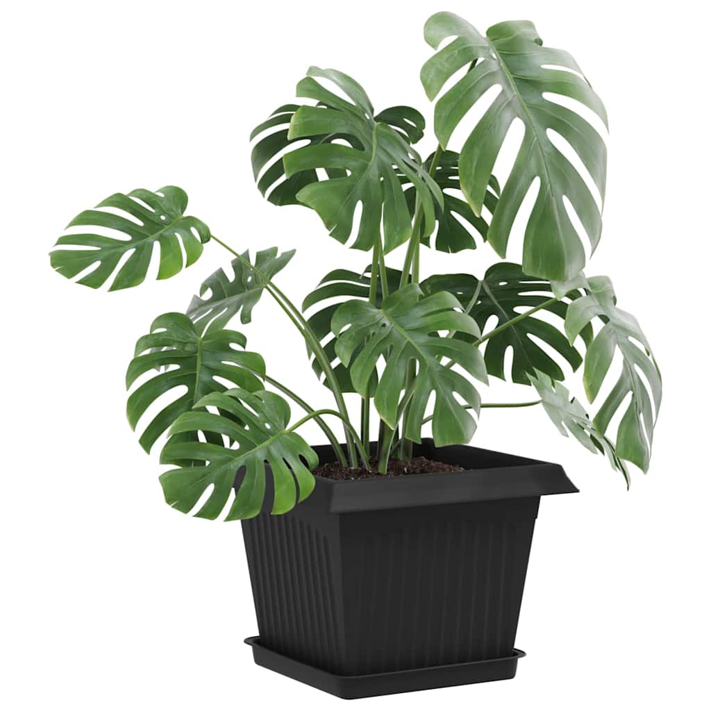 vidaXL Plant Pots 6 pcs Black Plastic 3