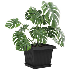 vidaXL Plant Pots 6 pcs Black Plastic 3