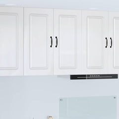 Dishwasher Panel with 2 Doors KALMAR High Gloss White 1x wall cabinet (2 doors) 80 cm wide 80 cm high