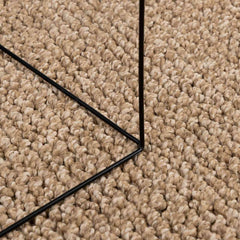 vidaXL Indoor and Outdoor Rug AGIRA Natural 150 x 80 cm Polyester 5