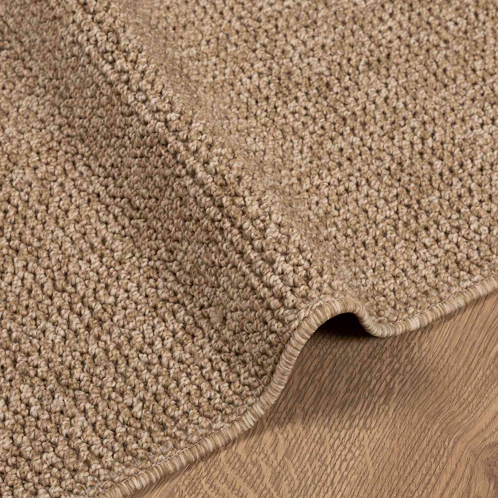 vidaXL Indoor and Outdoor Rug AGIRA Natural 150 x 80 cm Polyester 6