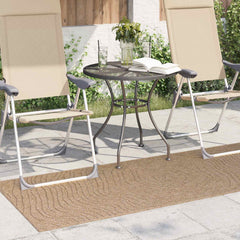 vidaXL Indoor and Outdoor Rug AGIRA Natural 150 x 80 cm Polyester 3