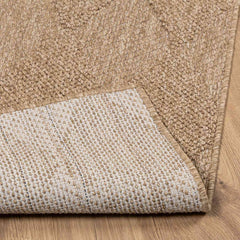 vidaXL Indoor and Outdoor Rug AGIRA Natural 150 x 80 cm Polyester 4
