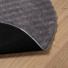 vidaXL Area Rugs Round SIROLO Anthracite Ø 160 CM Polyester 4