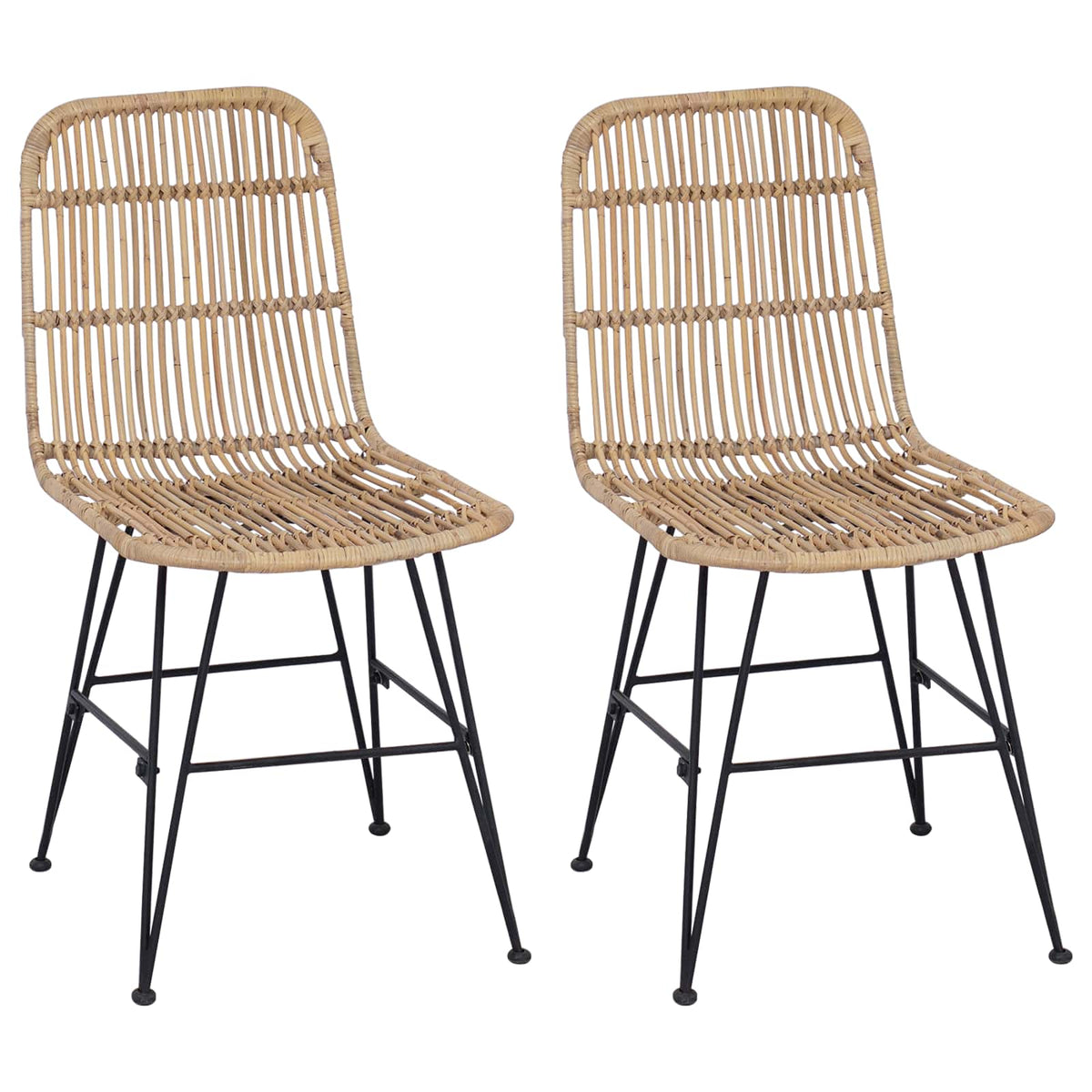 Dinning Chair 2 pcs Rattan and Steel