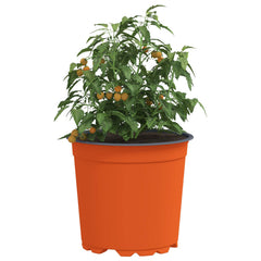 vidaXL Round Flower Pot 100 pcs Terracotta Ø 15 x 13 cm Plastic 3