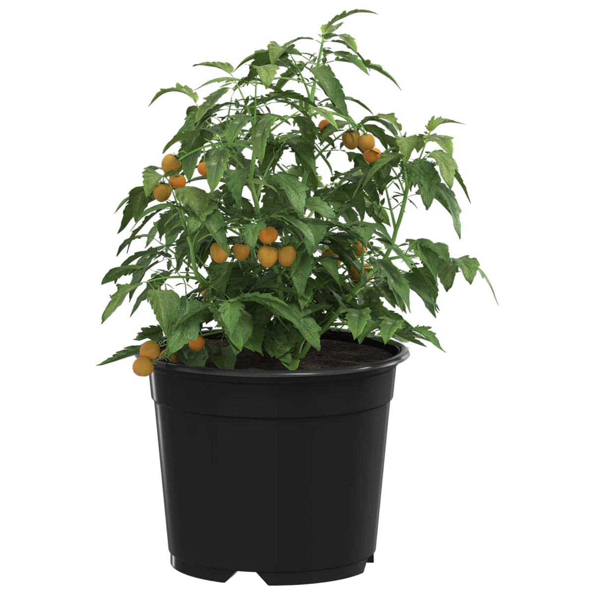 Round Flower Pot Ø 10 x 8 cm Plastic Black 10 cm 200