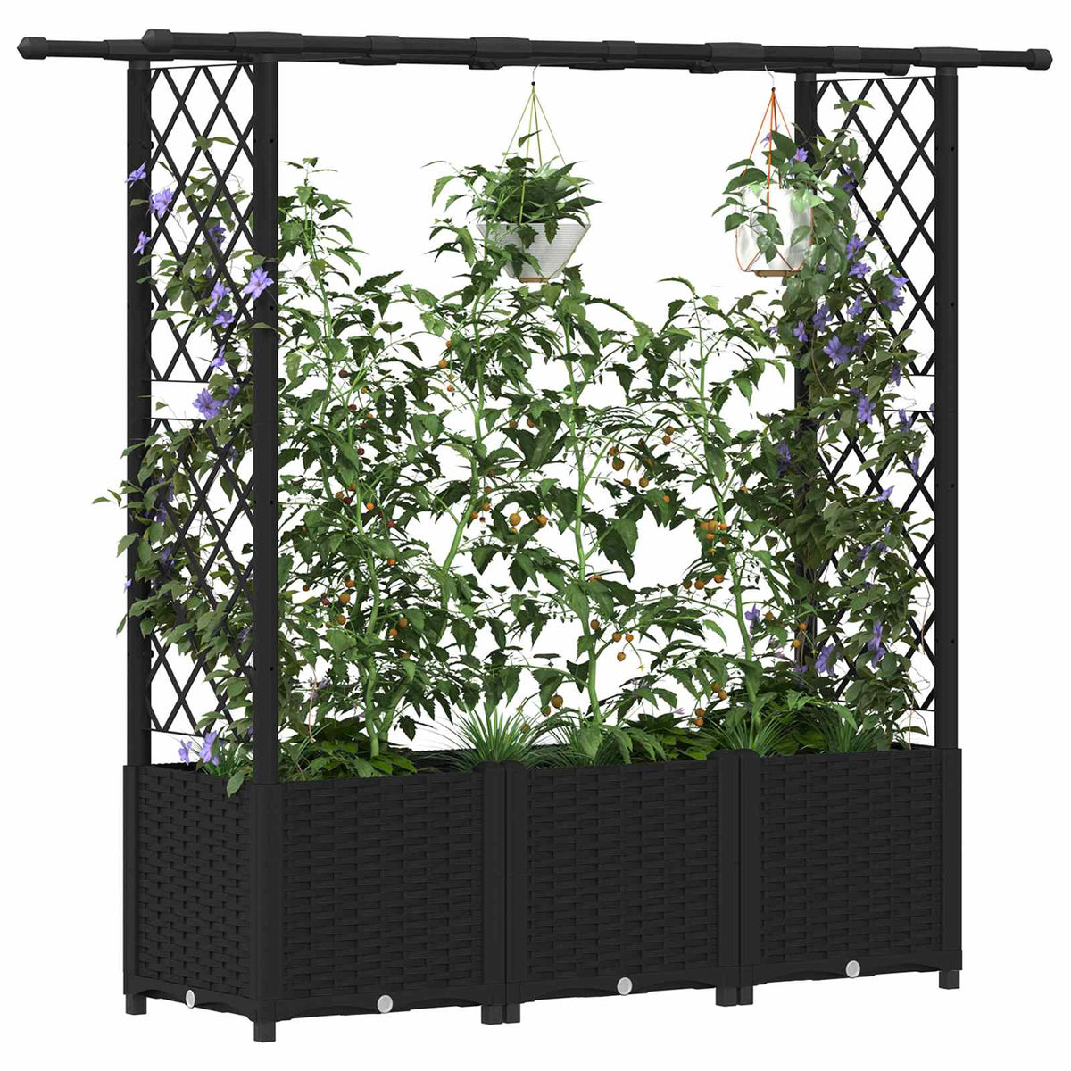 Raised Bed with Trellis and Roof PP Black with Flat Roof (2 Side trellis) 162.5 cm 136 cm