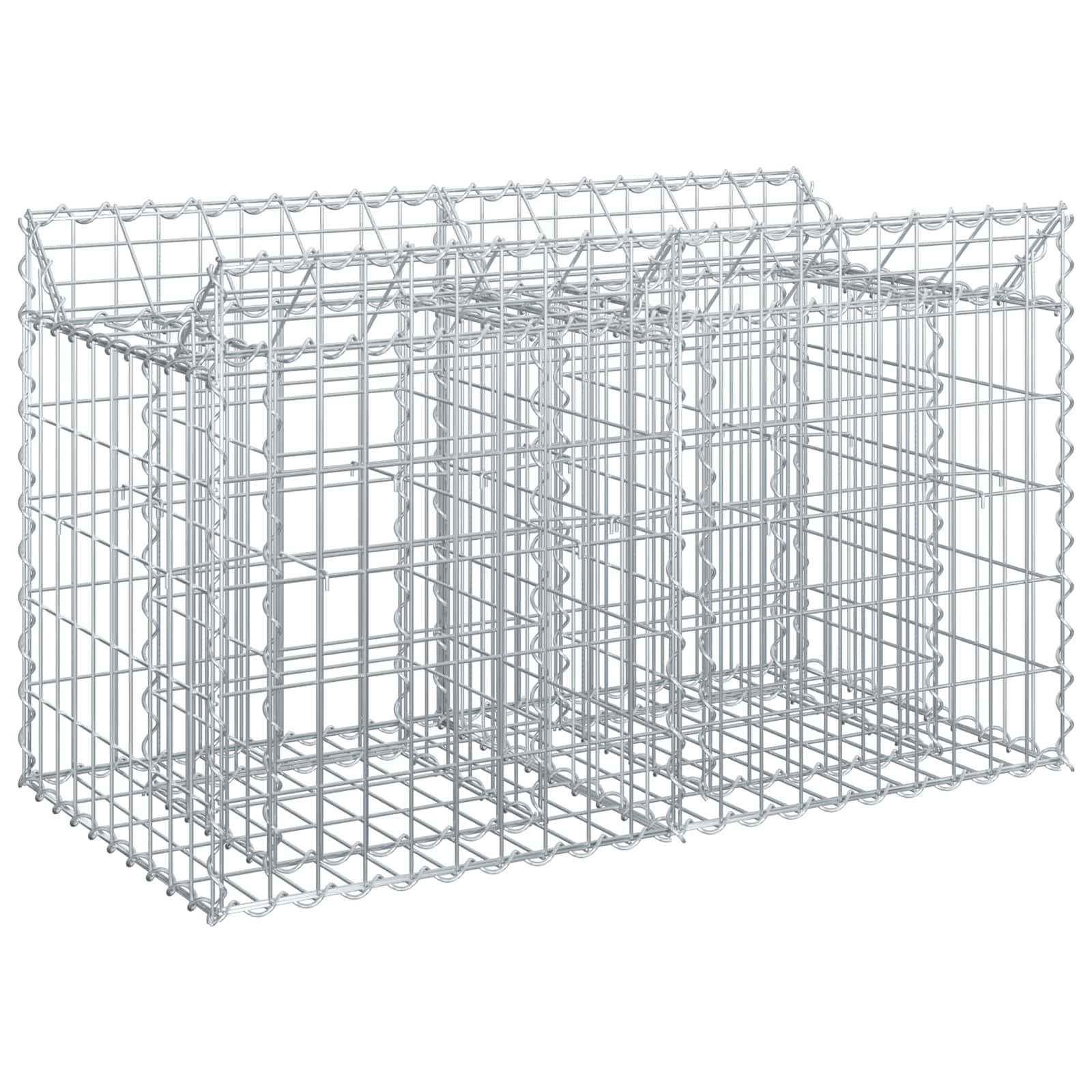 vidaXL Gabion Raised Bed 100 x 50 x 60 cm Galvanised Steel Silver 2