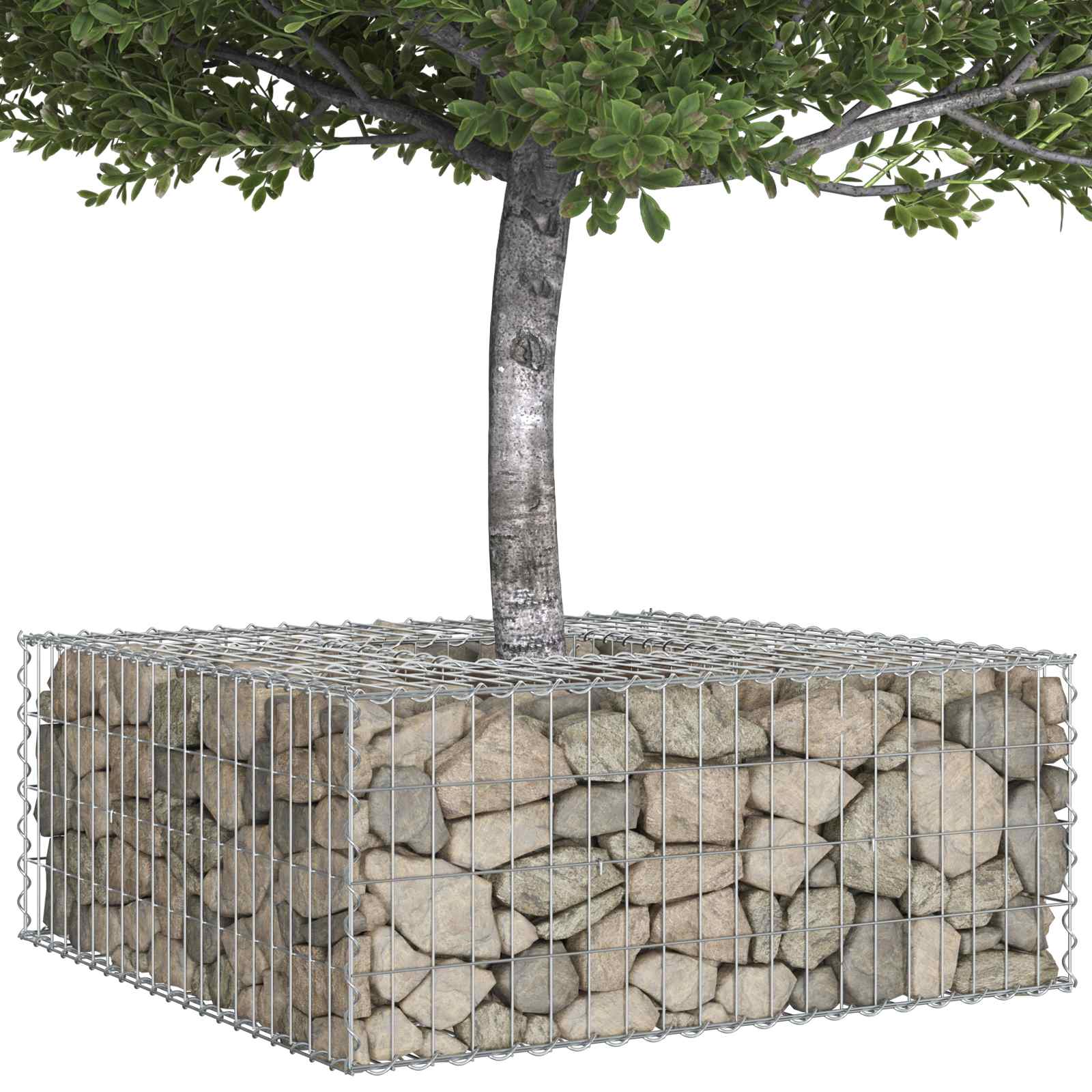 vidaXL Gabion Raised Bed 100 x 100 x 40 cm Galvanised Steel Silver 3