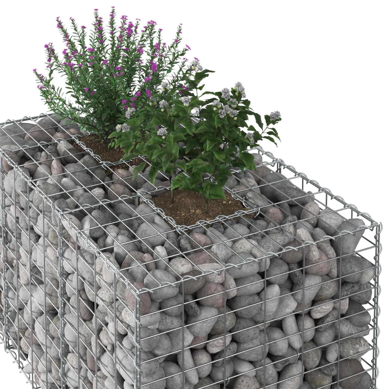 vidaXL Gabion Raised Bed 100 x 60 x 55 cm Galvanised Steel Silver 4