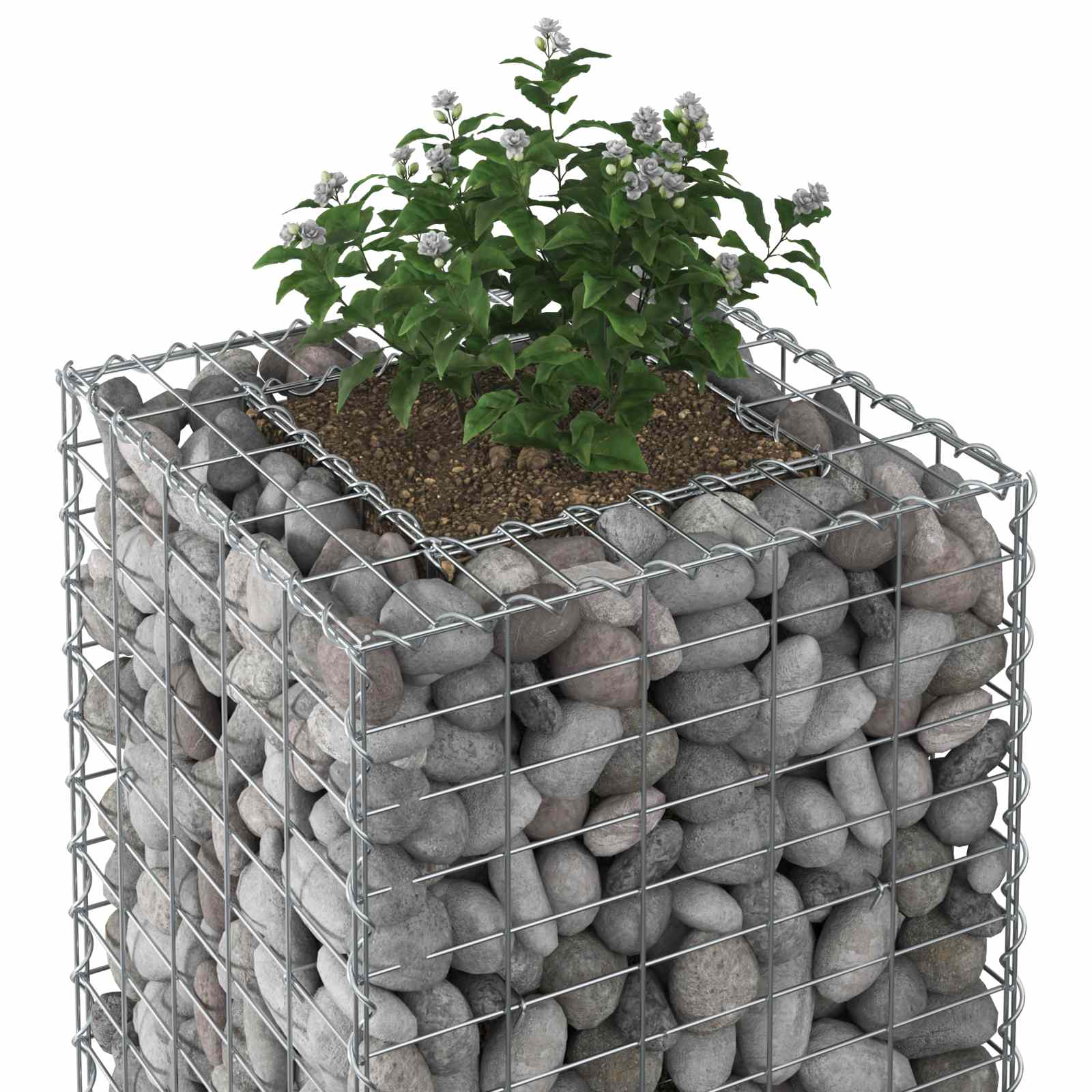 vidaXL Gabion Raised Bed 50 x 50 x 150 cm Galvanised Steel Silver 4