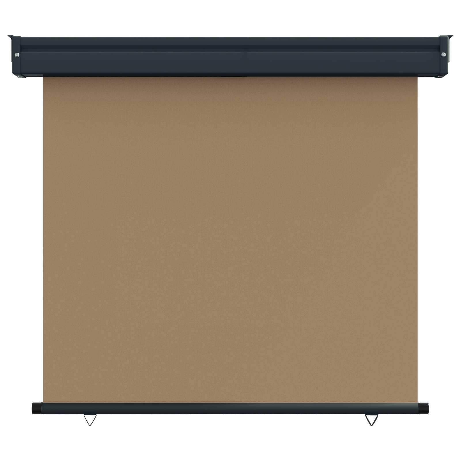 vidaXL Balcony Side Awning 60 x 250 cm 100% polyester iron steel Taupe 2