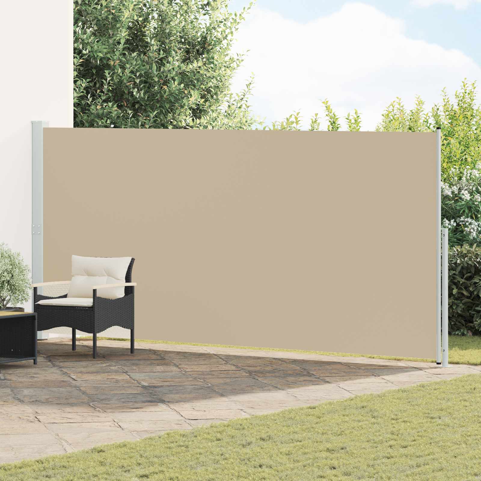 vidaXL Retractable Side Awning 220 x 500 cm 100% polyester iron steel 1
