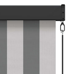 vidaXL Roller Blind Anthracite and White 100 x 250 cm 5