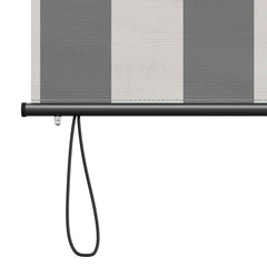 vidaXL Roller Blind Anthracite and White 100 x 250 cm 6