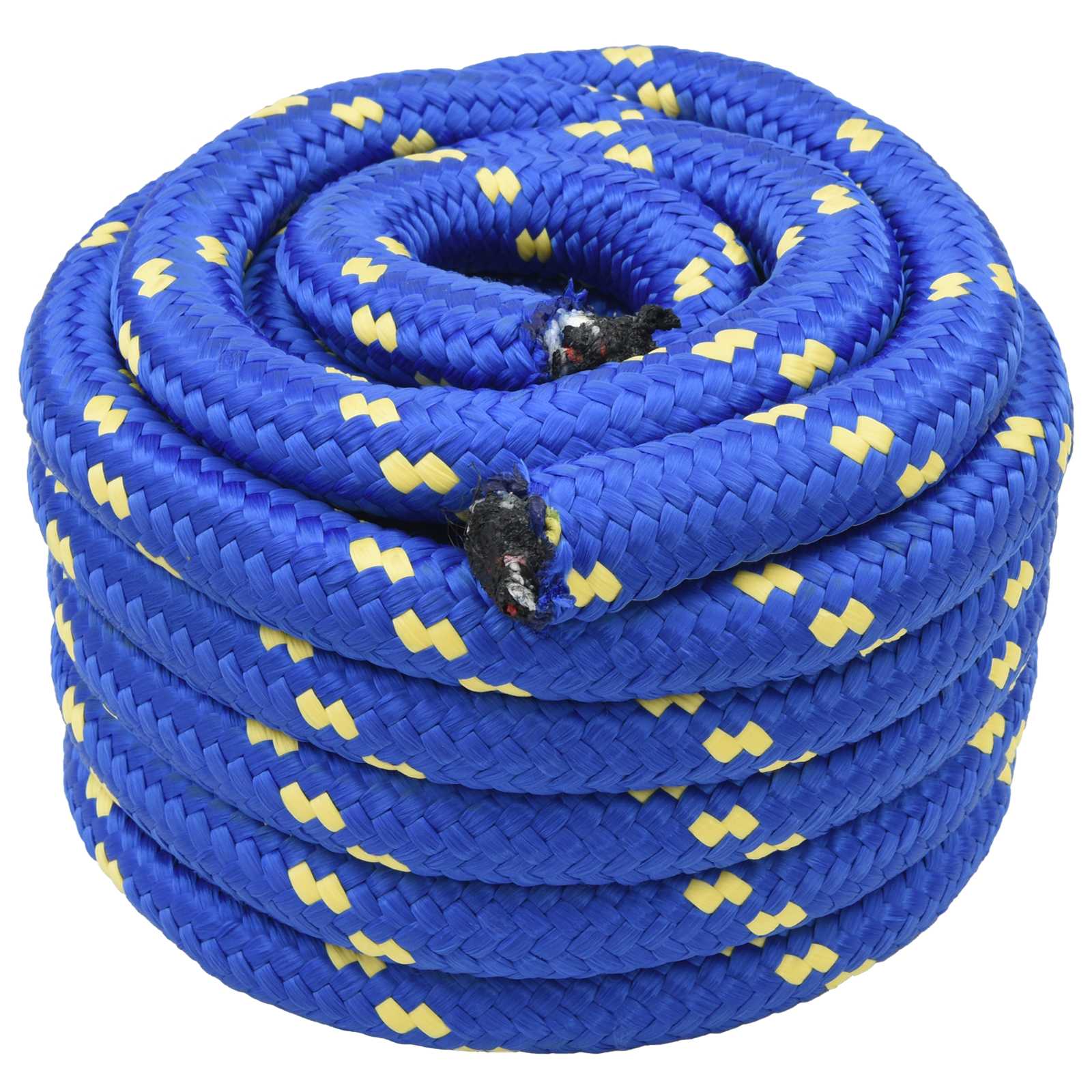vidaXL Boat Rope 5 mm 5 m Blue 1