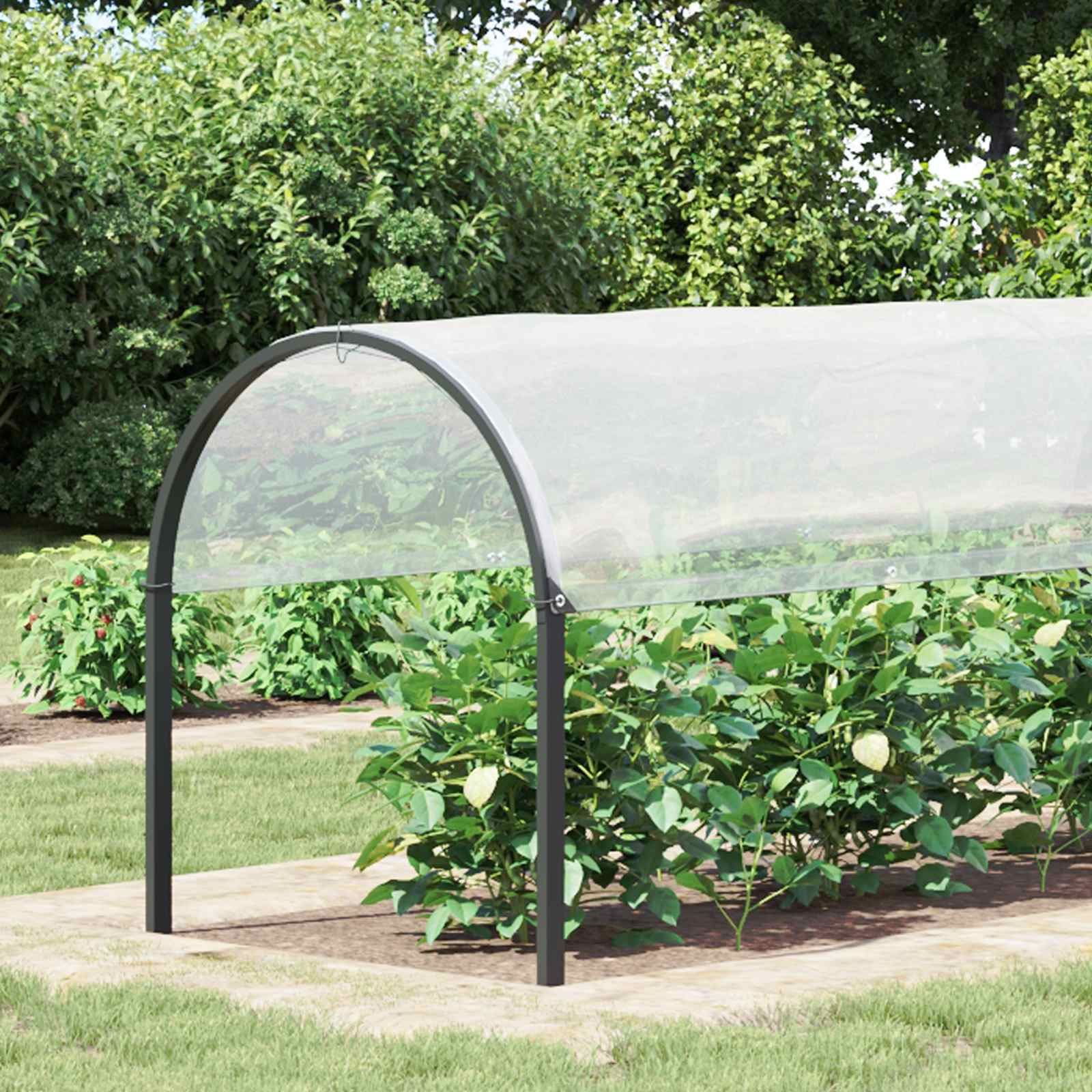 vidaXL Plant Cover Transparent 2 x 12 m PE 1