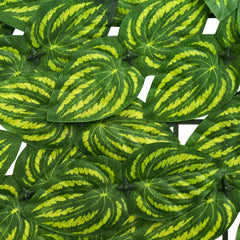 vidaXL Balcony Screen with Leaves Green and Yellow 300 x 150 cm 4