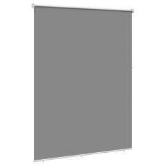 vidaXL Outdoor Roller Blind UV Protection Light Grey Polyester 4