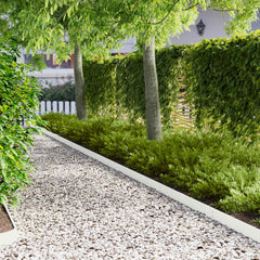 Lawn Edging 103 x Steel 20 in White